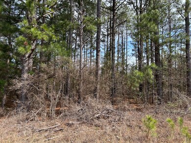 000 Augusta Hwy, Dearing, GA 30808 - photo 3