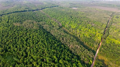 Lot 9 Tower Rd, Crandon, WI 54520 - photo 4