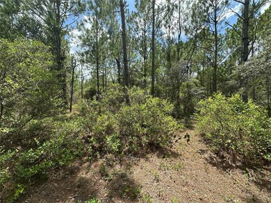 796 Fisher Rd, Ocklawaha, FL 32179 - photo 6