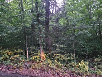 365 Burnside Hideaway Dr, Burnside, KY 42519 - photo 6