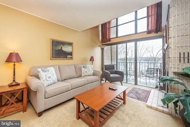 20160 Garrett Hwy unit G507, Oakland, MD 21550 - photo 3