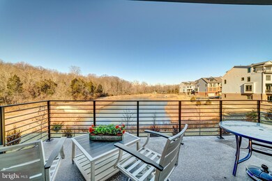 1807 Yellow Garnet Terrace SE, Leesburg, VA 20175 - photo 7