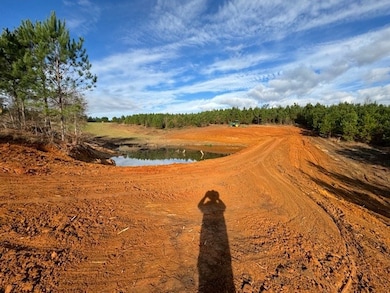 0 County Road 39, Ramer, AL 36069 - photo 3