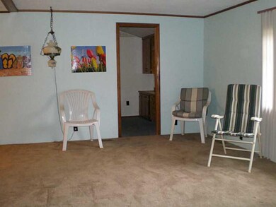 Living Room. The living room is light and bright a