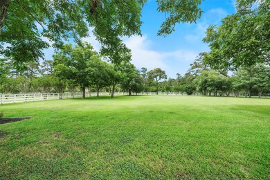 25276 Nichols Sawmill Rd, Magnolia, TX 77355 - photo 2