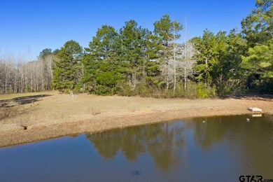 10938 County Road 233, Arp, TX 75750 - photo 5