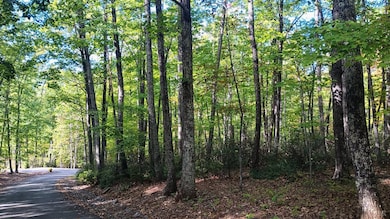 0 Oakcrest Ln unit 363097, Rockfish, VA 22958 - photo 2