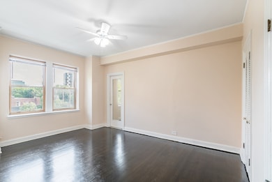 5000 S Cornell Ave unit 3A, Chicago, IL 60615 - photo 7