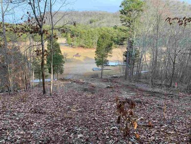 2524 Kidwell Church Rd, Morristown, TN 37814 - photo 3