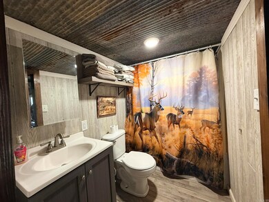 0 Palestine Rd unit 25048571, Warm Springs, AR 72478 - photo 6