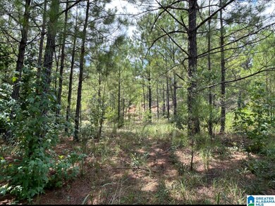 23 Acres Truman Aldrich Pkwy unit 23 ACRES, West Blocton, AL 35184 - photo 3