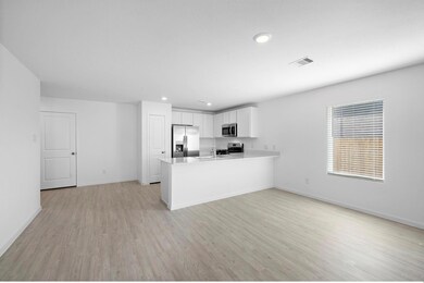 view from the back door