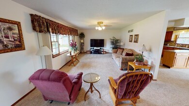 12 Blossom Lake Ln, Maryville, IL 62062 - photo 7