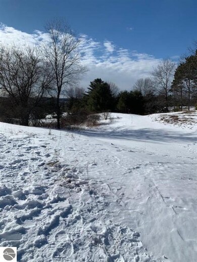 00 Walling Rd unit E, Helena Township, MI 49612 - photo 4