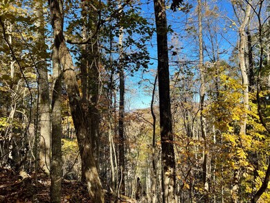 0 Royal Oaks Trail unit 23615967, Young Harris, GA 30582 - photo 6