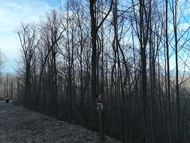 279 Andes Ridge, Ellijay, GA 30536 - photo 3