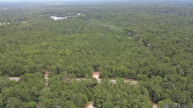 83234 Isabel Swamp Rd, Bush, LA 70431 - photo 3