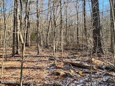 Lot 19-I W Center Rd, Otis, MA 01253 - photo 6