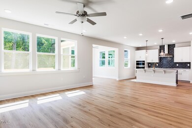 266 Fast Pitch Ln, Four Oaks, NC 27524 - photo 5