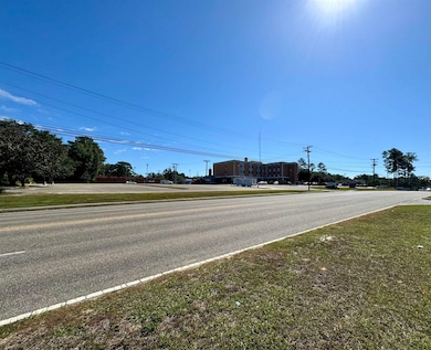 103 W Paulk Ave, Opp, AL 36467 - photo 3