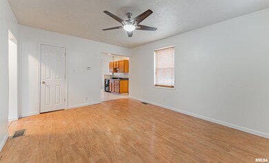 416 N Hamilton St, Lincoln, IL 62656 - photo 3