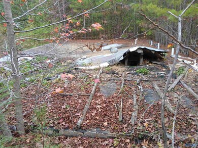 874 Mountain, Baileyton, AL 35019 - photo 3