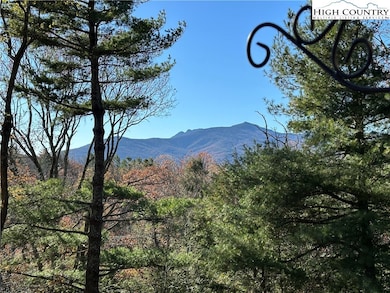 160 Rhododendron Ln, Blowing Rock, NC 28605 - photo 3