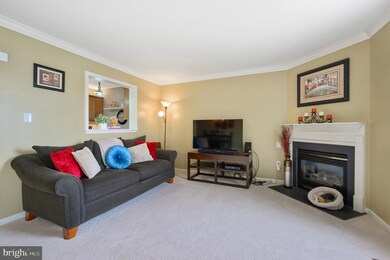 12 Brier Ave, Wilmington, DE 19805 - photo 3