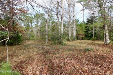 Lot 11 Tradewinds Dr, Hampstead, NC 28443 - photo 4