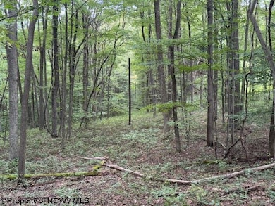 TBD Simpson Rd, Belington, WV 26250 - photo 6
