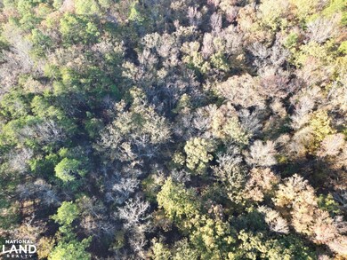 Hwy 11, Pelham, AL 35124 - photo 5