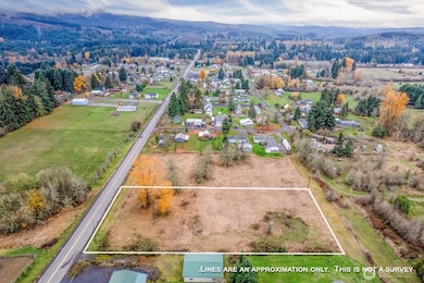 0 7th St unit NWM2455650, Vader, WA 98593 - photo 2