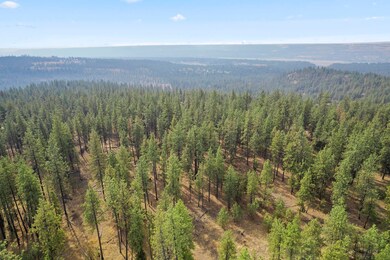 nka Rocky Top Way, Deer Park, WA 99006 - photo 5