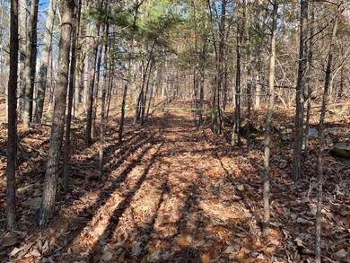 0 Quail Way unit 7685106, Jasper, GA 30143 - photo 6