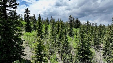 Mix of aspen and pines