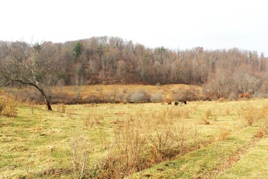 793 Coffeytown Rd, Vesuvius, VA 24483 - photo 7