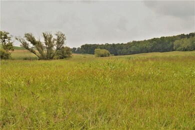 View from Sarver Road with Crops planted. North lo