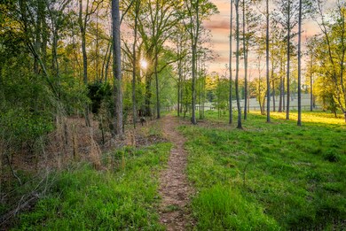 Trail Network