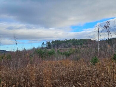 L52 Bridgton Rd, Sweden, ME 04009 - photo 4