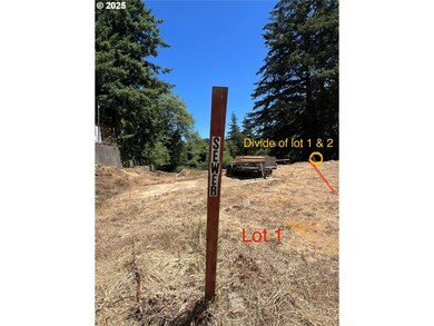 2250 S 17th St, Coos Bay, OR 97420 - photo 4