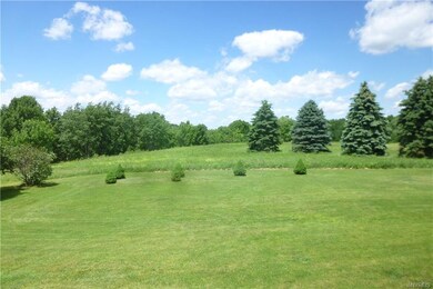 View from back yard