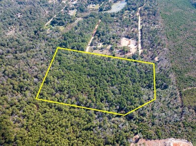 Mendez Rd, Willis, TX 77378 - photo 2