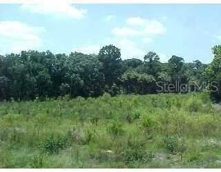 View of preserve