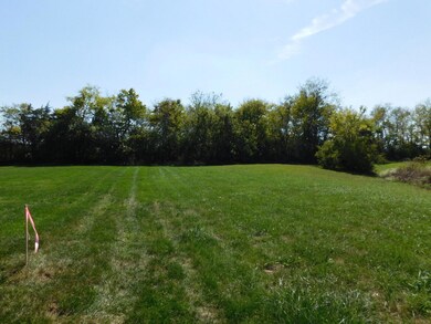 330 Chrisman Oaks Trail, Nicholasville, KY 40356 - photo 6