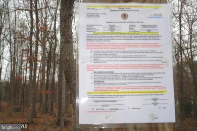 0 Swan Woods Rd unit 1003762273, Rhoadesville, VA 22542 - photo 6