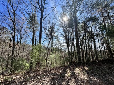 0 Indian Ln unit RTC2714807, Ellijay, GA 30540 - photo 4