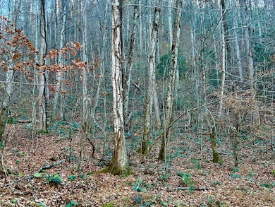 22 Davis Walker Ridge, Mineral Bluff, GA 30559 - photo 6