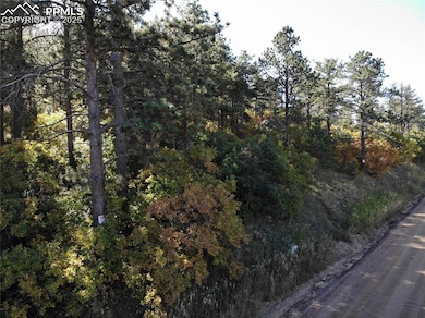 0 Oakdale Dr, Palmer Lake, CO 80133 - photo 2