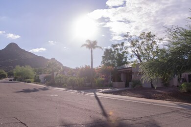 Front Yard 4