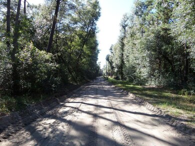 SAM_0343